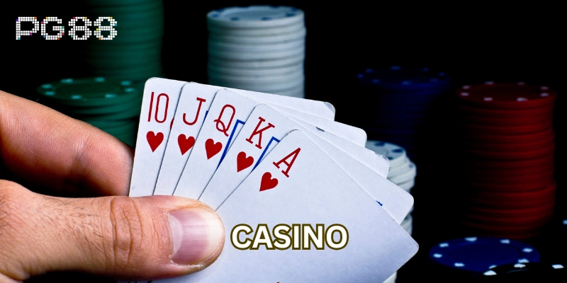 Casino rất đa dạng và phong phú